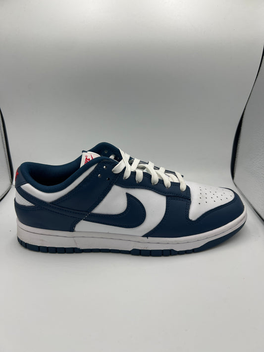 NIKE DUNK LOW "VALERIAN BLUE"