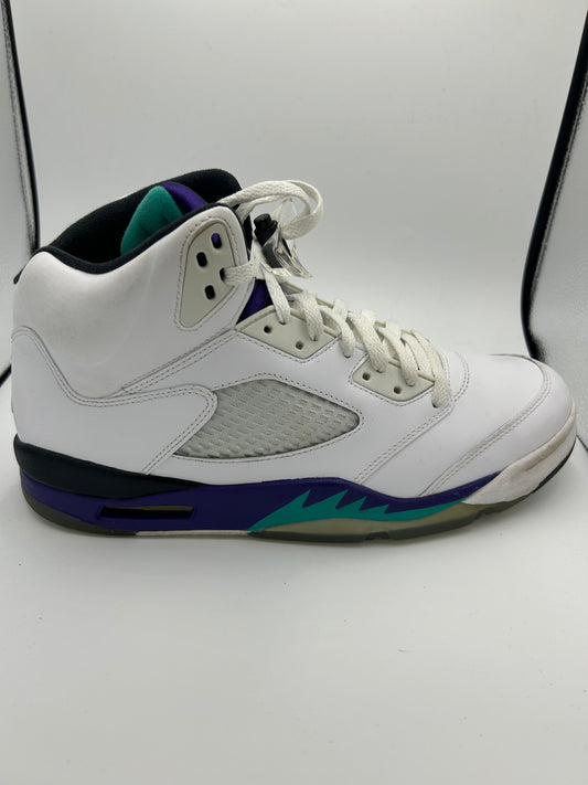 JORDAN 5 “GRAPE”