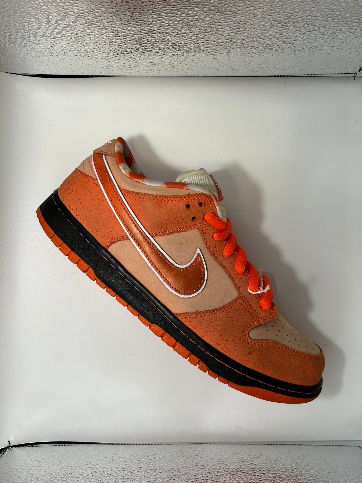 NIKE DUNK LOW SB X CONCEPTS  "ORANGE LOBSTER"