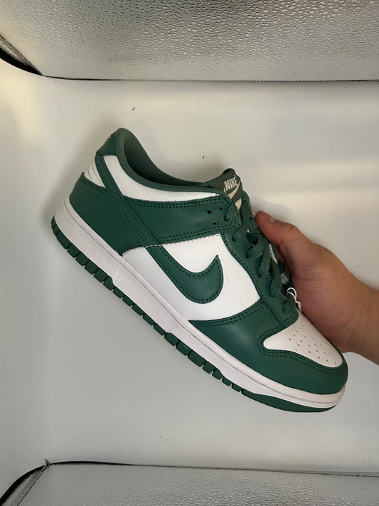 Nike Dunk low “biocoastal”